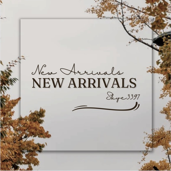 🆕NEW INVENTORY - Picture 8 of 12